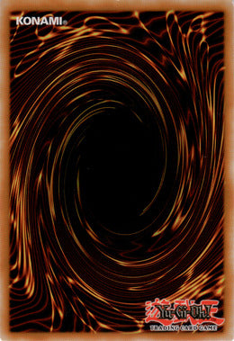 YU-GI-OH! SINGLE CARDS